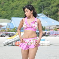 Payal Ghosh hot n spicy bikini gallery | Picture 71900